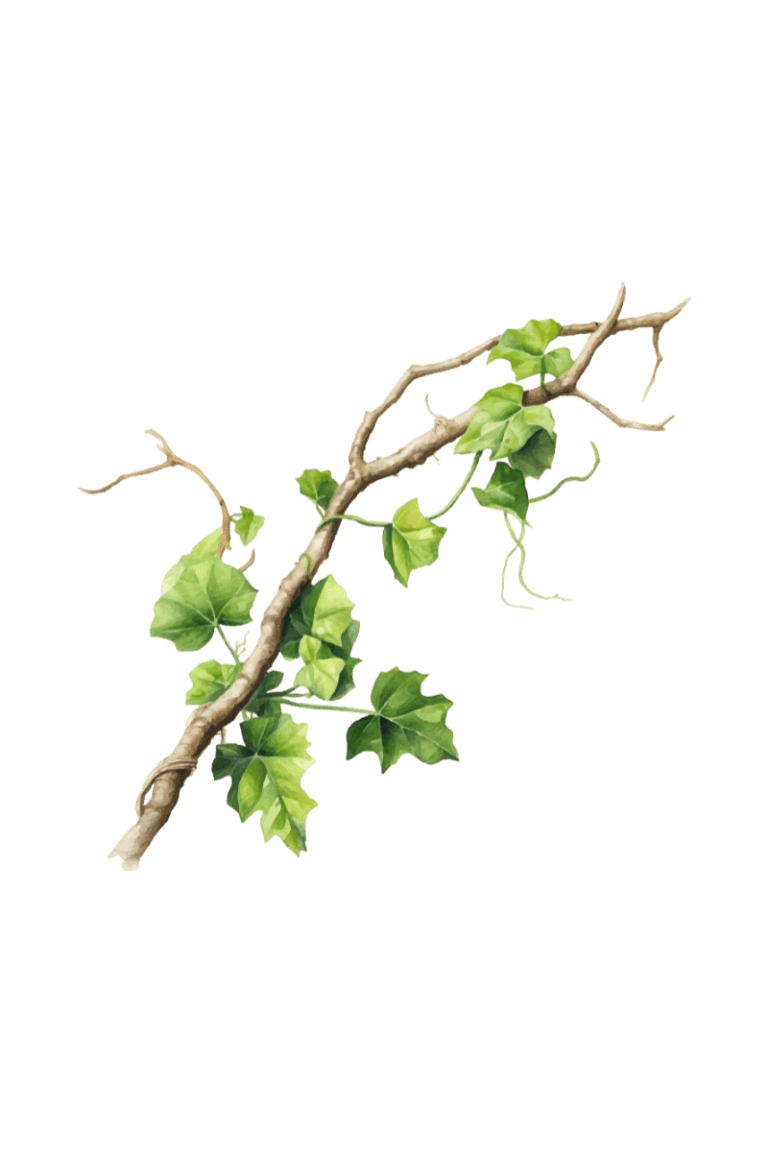 a branch with green leaves