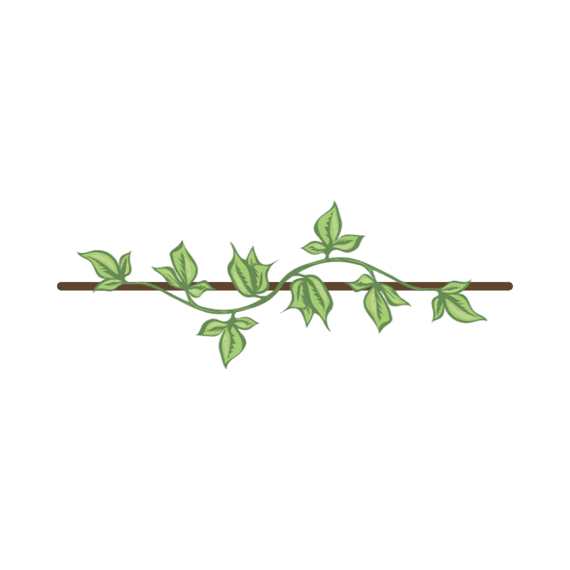 a branch with leaves on it